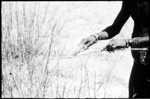 /Ao's hands holding a cocoon on a stick and scraping fibers off with grass (copy of color slide 2001.29.7934)