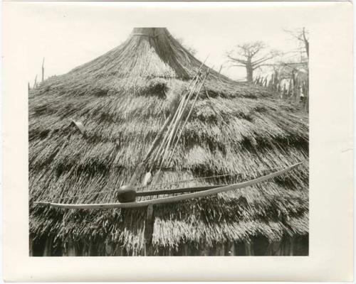 Spear, fly switch, bow, arrows and knobkerrie displayed on a thatched roof (print is a cropped image)