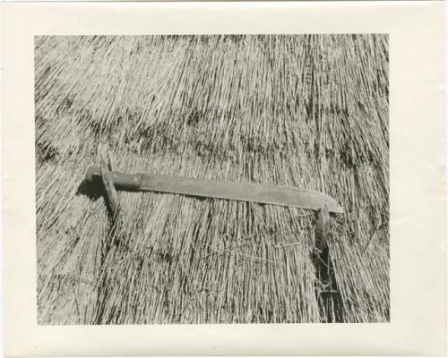 Machete displayed on a thatched roof (print is a cropped image)