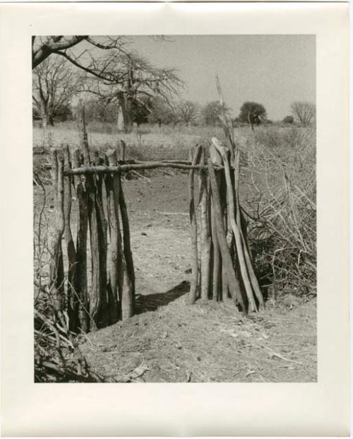 Gate to a Hinga kraal (print is a cropped image)