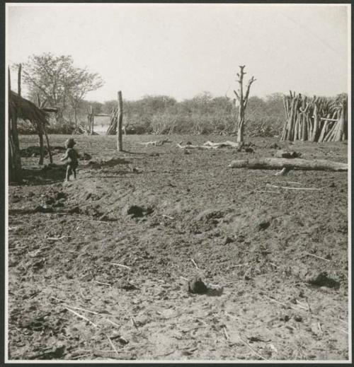 Child standing inside a kraal, showing gate, thorn fence and stockade