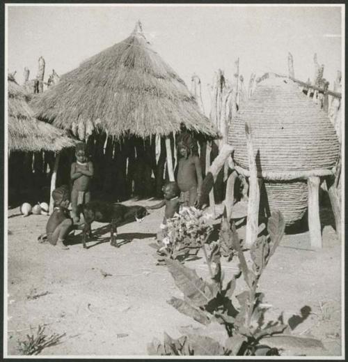 Children sitting and standing with a goat near storage huts inside kraal