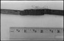 Oukwane's !ga!gaba ("male" stick of a pair of firesticks), broken and spliced together, with a ruler for measurement