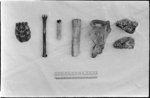 /Twikwe's possessions, including (left to right) tortoise shell spoon, three pieces of bone used for pounding and grinding, a bone dish used for mixing poison for arrows, and two pieces of ostrich bone used to give a hide a last, fine scraping, with a ruler for measurement