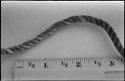 !Gui (a cord) used for snare, made from a plant of the same name, with a ruler for measurement