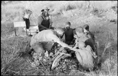 Oukwane and other people sitting and talking to William Donnellan and Elizabeth Marshall Thomas, with Wilhelm Camm interpreting. Oukwane is naming the internal parts of an animal.