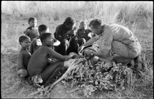 Oukwane and other people sitting and talking to William Donnellan and Elizabeth Marshall Thomas, with Wilhelm Camm interpreting. Oukwane is naming the internal parts of an animal.