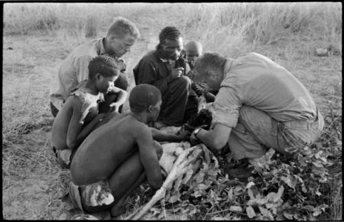 Oukwane and other people sitting and talking to William Donnellan and Elizabeth Marshall Thomas, with Wilhelm Camm interpreting. Oukwane is naming the internal parts of an animal.