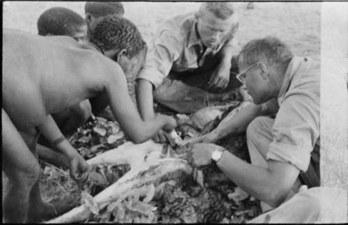 Oukwane and other people sitting and talking to William Donnellan and Elizabeth Marshall Thomas, with Wilhelm Camm interpreting. Oukwane is naming the internal parts of an animal.