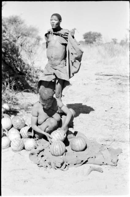 Tsekue handling tsama melons, with a man visiting from Okwa standing behind her