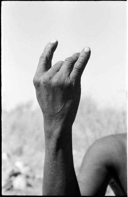 Person demonstrating the hunting hand signal for an unidentified animal