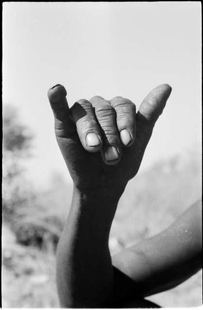 Person demonstrating the hunting hand signal for a wildebeest, buffalo or warthog, with wide-apart horns or tusks