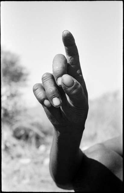 Person demonstrating the hunting hand signal for an unidentified animal