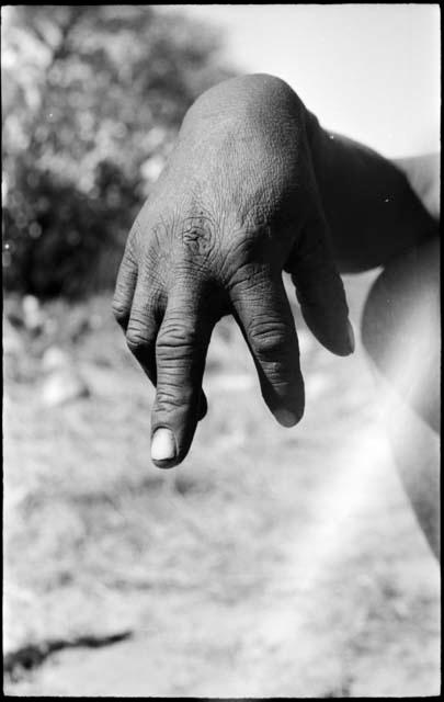 Person demonstrating the hunting hand signal for an unidentified animal