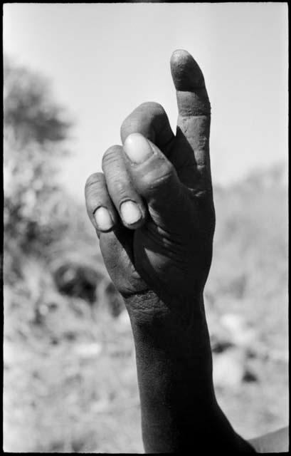 Person demonstrating the hunting hand signal for an unidentified animal