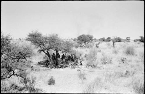 People from Oukwane's group and a band visiting from Okwa sitting in the shade in Oukwane's werft, with a veld fire in the background