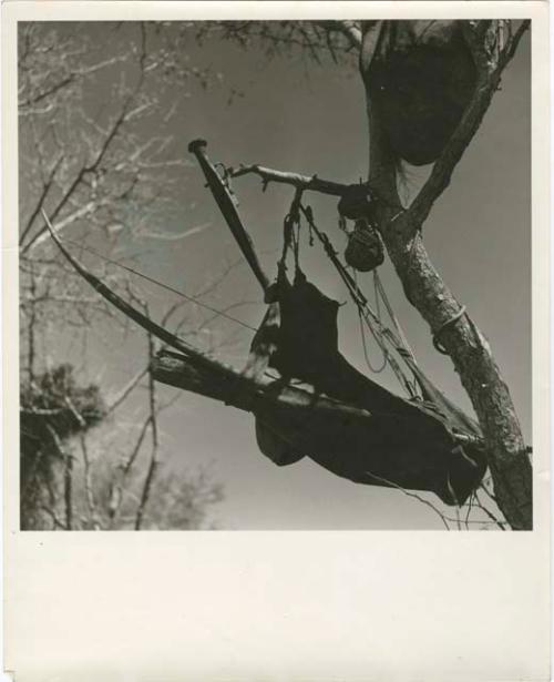 Hunting bag, knife, and other possessions hung in a tree