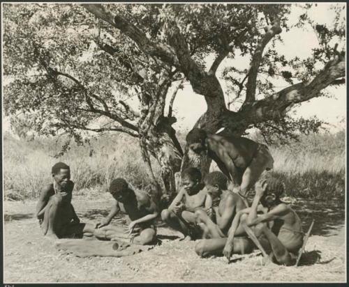 Group of men sitting under a big tree, throwing and watching oracle disks (print is a cropped image)