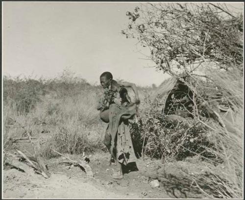 "Old /Gasa" loading the head of a wildebeest into her kaross, showing the method of carrying a large object (print is a cropped image)