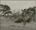 Boy tossing a djani (helicopter toy / winged toy made from a hollow reed) (print is a cropped image)