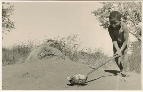 /Gaishay, ≠Toma's son, pushing a tortoise shell with a stick. He is saying "brrrrr" and calls the game "playing auto" (print is a cropped image)