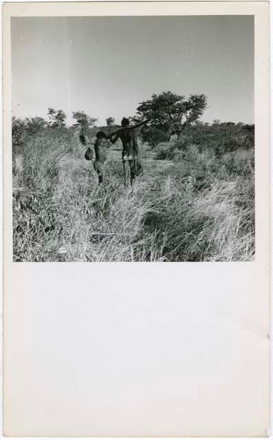 Man and boy returning to the werft from a waterhole, showing the use of a carrying stick, shoulder bags made from animal stomachs, and a man's breech-clout seen from the back (print is a cropped image)