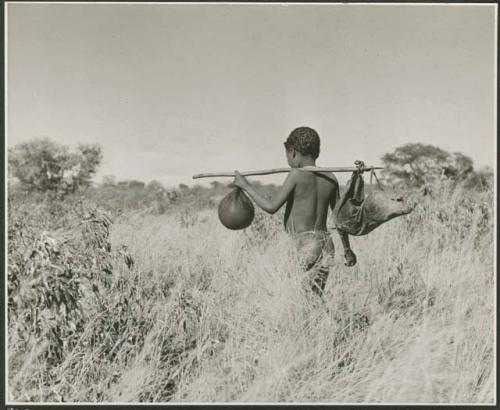 Boy walking in grass and carrying water bag made from an animal stomach and another bag on a digging stick on his shoulder (print is a cropped image)