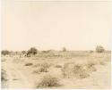 Group of people standing in Boys's kraal (clearing around huts) at Okwa (print is a cropped image)