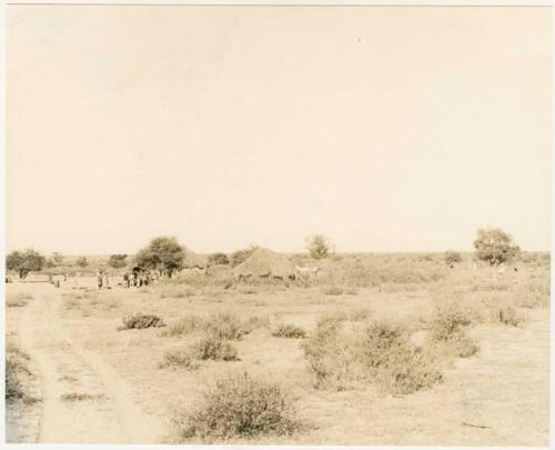 Group of people standing in Boys's kraal (clearing around huts) at Okwa (print is a cropped image)