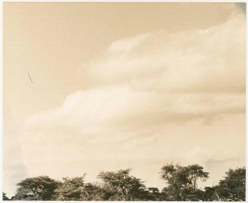 Clouds and treetops at Tsane (print is a cropped image)