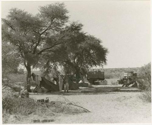 Marshall camp at Okwa; two people standing by the tents (print is a cropped image)