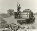 Simon Molamo off-loading wood from the back of the truck (print is a cropped image)