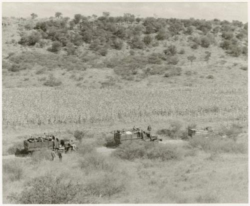 Expedition trucks driving on a road (print is a cropped image)