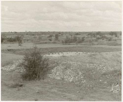 Waterhole out in a field (print is a cropped image)