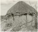 Round hut with mud walls and thatched roof (print is a cropped image)