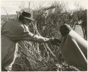 Elderly person receiving tobacco from Lorna Marshall (print is a cropped image)