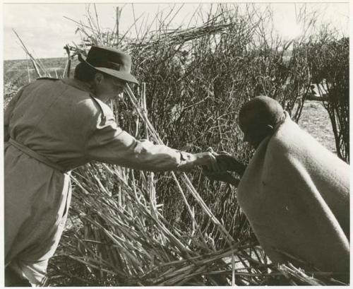 Elderly person receiving tobacco from Lorna Marshall (print is a cropped image)