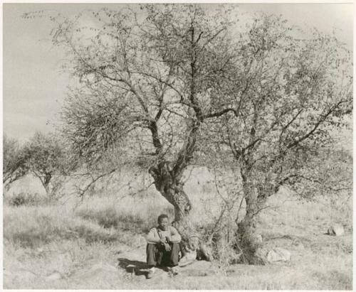 /Gishay sitting under a tree (print is a cropped image)