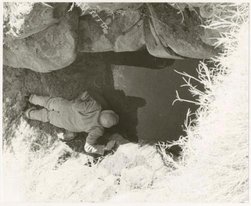 Robert Story drinking from a waterhole (print is a cropped image)