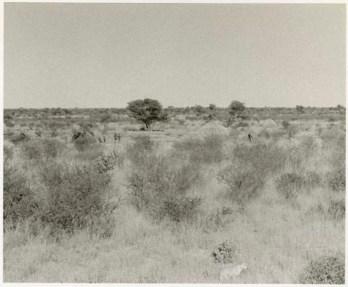 Grouping of grass huts; group of people standing on the left side (print is a cropped image)