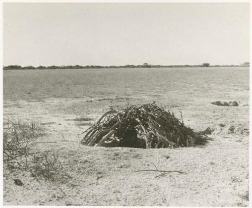 Caspar Kruger examining the hunting blind (print is a cropped image)