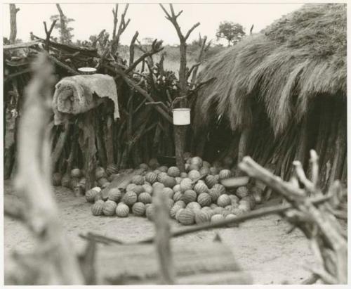 Pile of tsama melons by a hut (print is a cropped image)