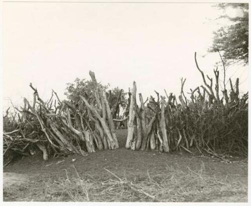 Kraal fence (print is a cropped image)