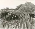 Hut with fence and tsama melons inside (print is a cropped image)