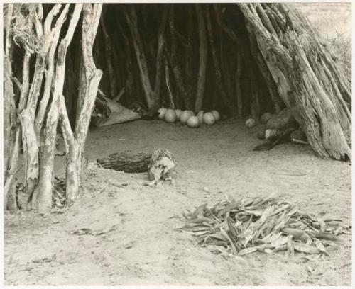 Inside of a skerm, showing separate piles of ostrich eggshells, tsama melons, and bean pods (print is a cropped image)