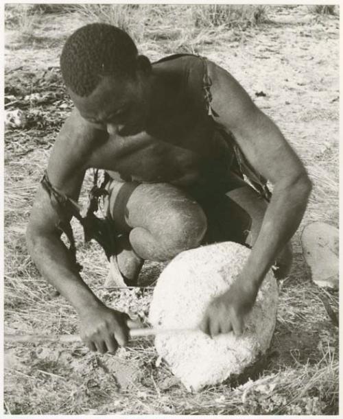 Ngwagetse scraping a water root (print is a cropped image)