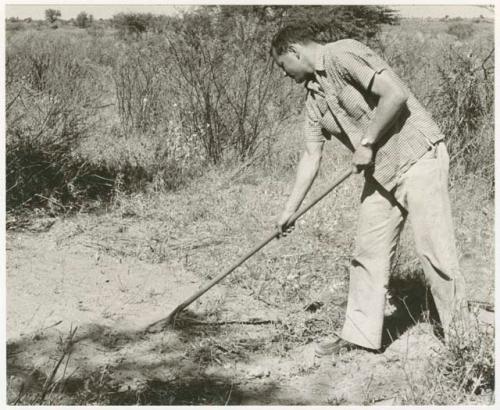 William Donnellan raking a place for tents (print is a cropped image)