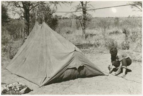 Elizabeth Marshall Thomas putting up a tent