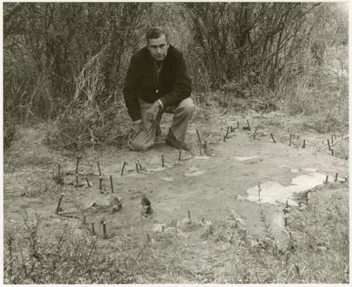 Daniel Blitz beside a staked-out hide (print is a cropped image)