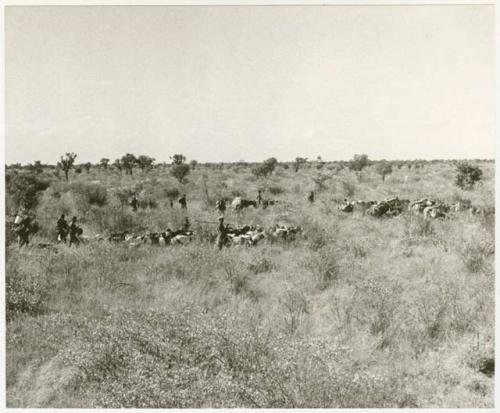 Group of people and animals moving to a new encampment (print is a cropped image)